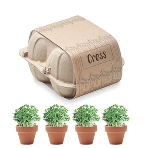 Cress tojásos doboz ültető készlet
