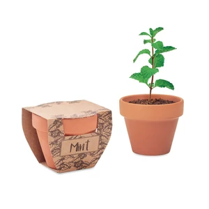 MINT POT agyag cserép magvakkal