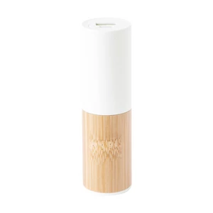 Reneh powerbank