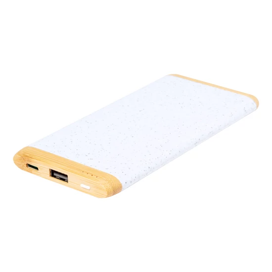 Coquin powerbank