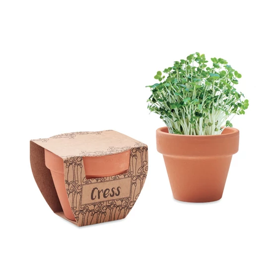 CRESS POT agyag cserép magvakkal