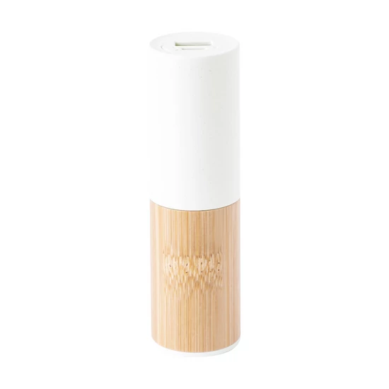 Reneh powerbank