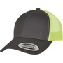 Flexfit Trucker 6 paneles vintage sapka