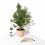 Plant a Tree ceruzák
