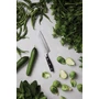 VINGA Kaiser Santoku kés